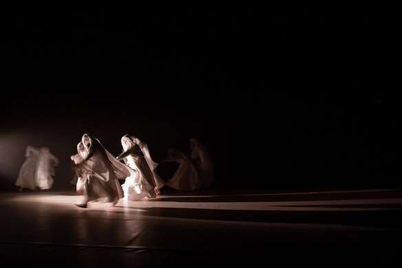 Credit: Chiara Ferrin