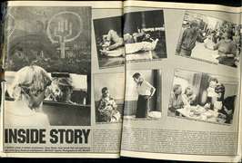 Inside Story Article, The Observer, 29 November 1981